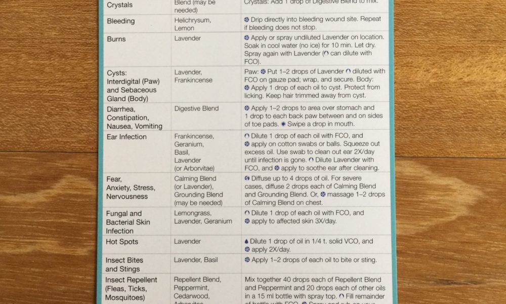 Modern Essentials Dogs and Cats Reference Card - Nathalie BelleLarant ...
