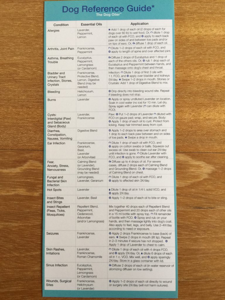 Modern Essentials Dogs and Cats Reference Card - Nathalie BelleLarant ...