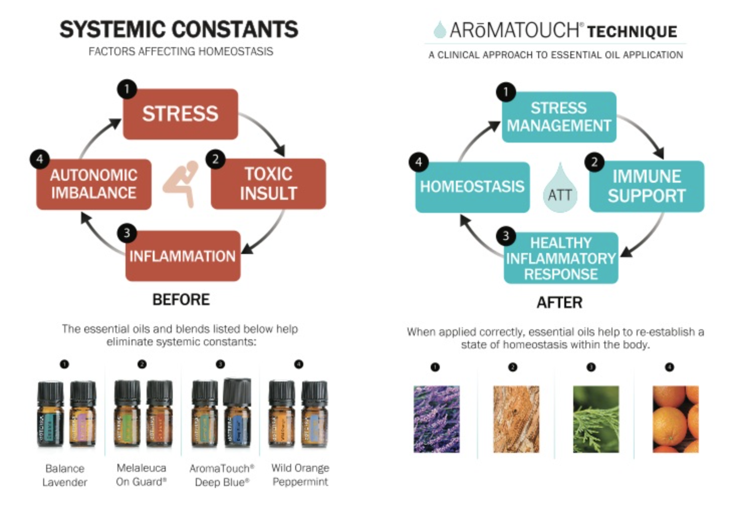 AromaTouch Technique 8 essential oils